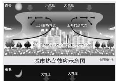 2023年8月15日托福(口語部分)考試真題,重復舊題