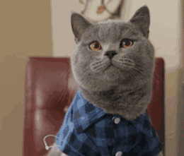 雅思考試評分標準對照表解讀(聽說讀寫)