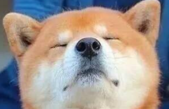 和老外交談的水平來考托福口語就一定能拿高分嗎?